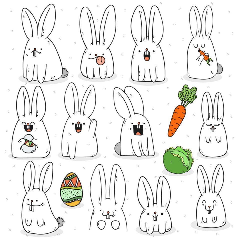 Cómo dibujar un conejo | Adobe