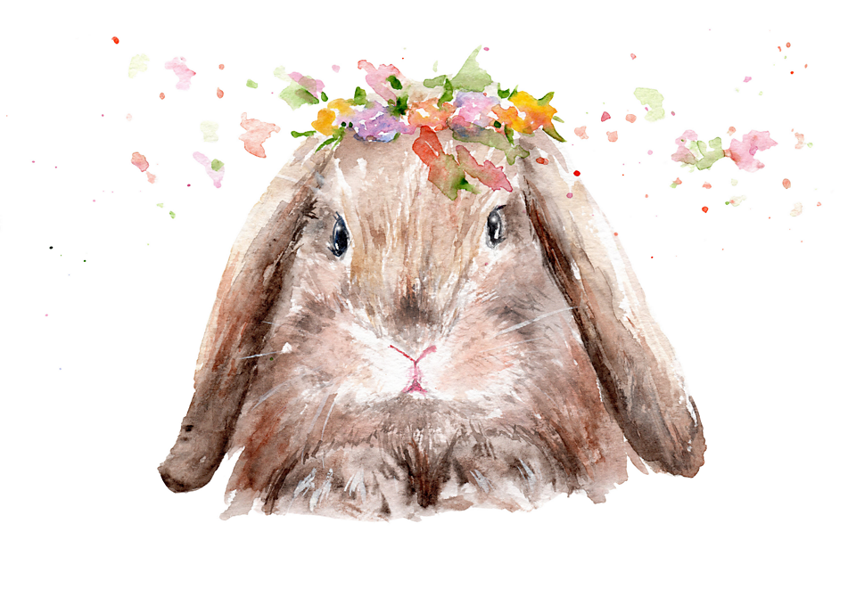 Cómo dibujar un conejo | Adobe