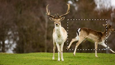 Erase distractions with ease.