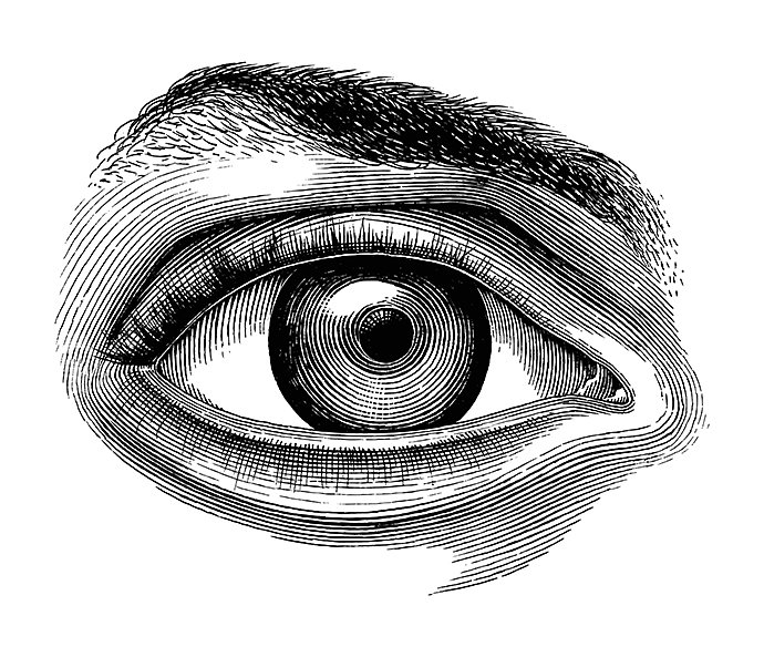 anatomy-of-human-eye-hand-draw-vintage-clip-art-isolated-on-white-background