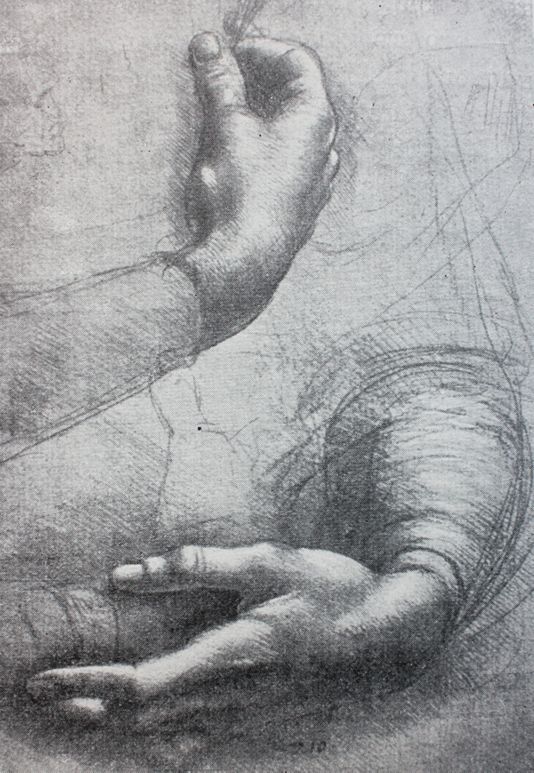 Les Bases Du Dessin Au Crayon Adobe
