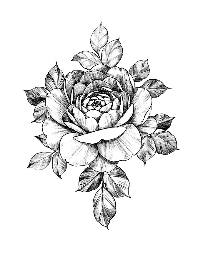 hand-drawn-floral-composition-with-rose-and-leaves