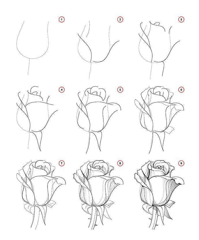 9 easy things to draw for beginners