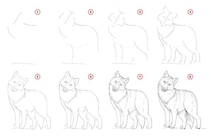 simple things to draw step by step