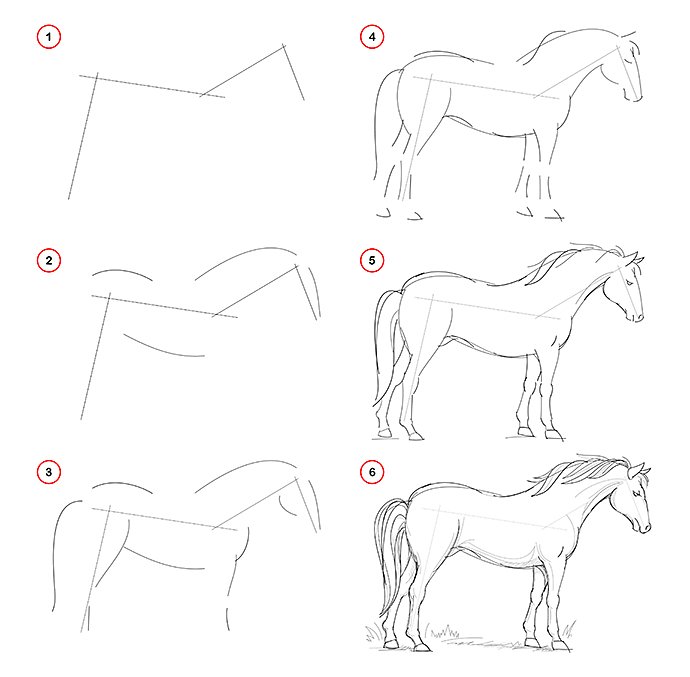 how-to-draw-from-nature-sketch-of-standing-horse-creation-step-by-step-pencil-drawing-educational-page-for-artists-school-textbook-for-developing-artistic-skills-hand-drawn-vector-image
