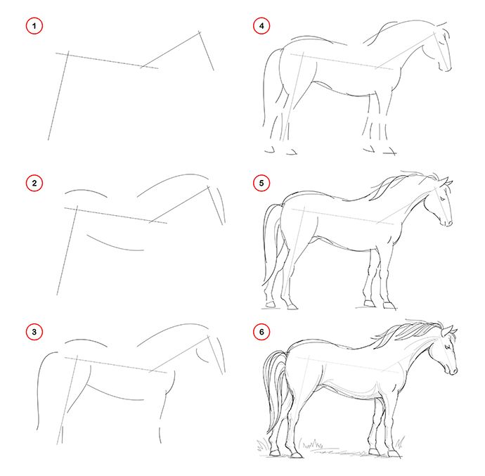 simple things to draw step by step