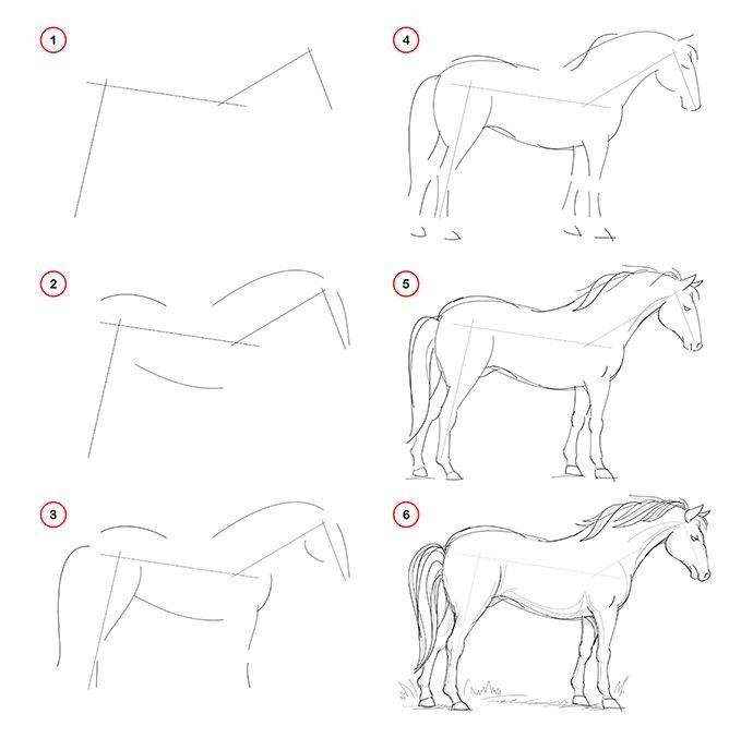 9 Easy Things To Draw For Beginners Adobe