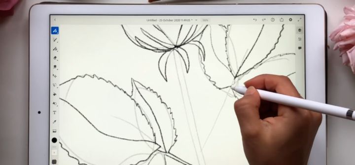 バラの描き方を学ぶ Adobe