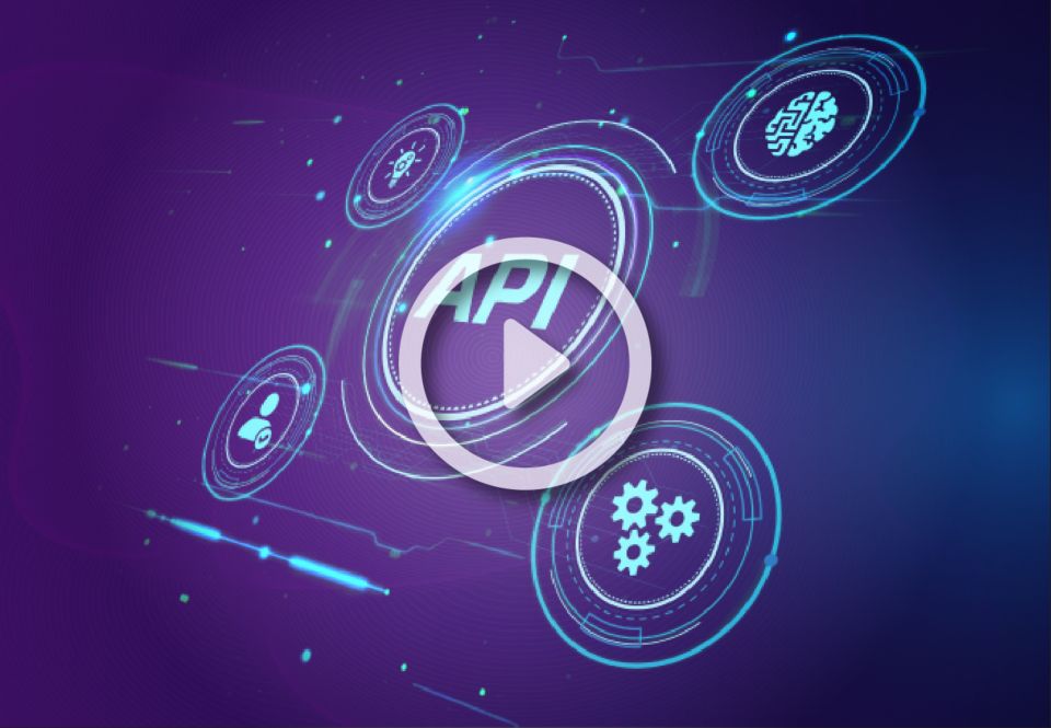 Built-in API Management Platform