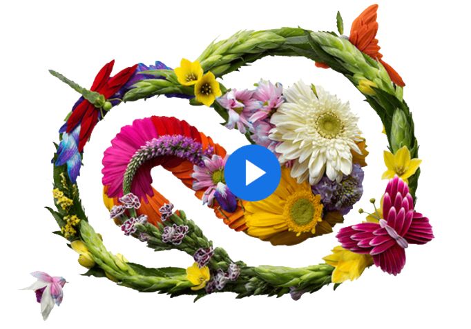 Découvrez Creative Cloud pour utiliser toutes les applications créatives d’Adobe