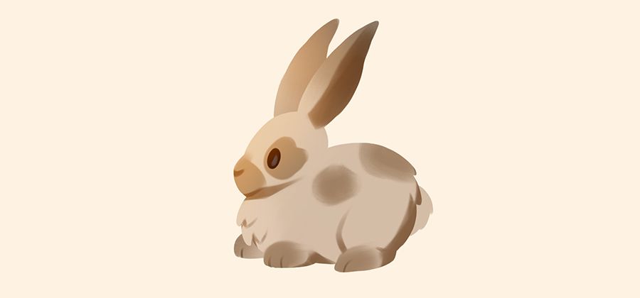 ウサギの描き方の順番 Adobe