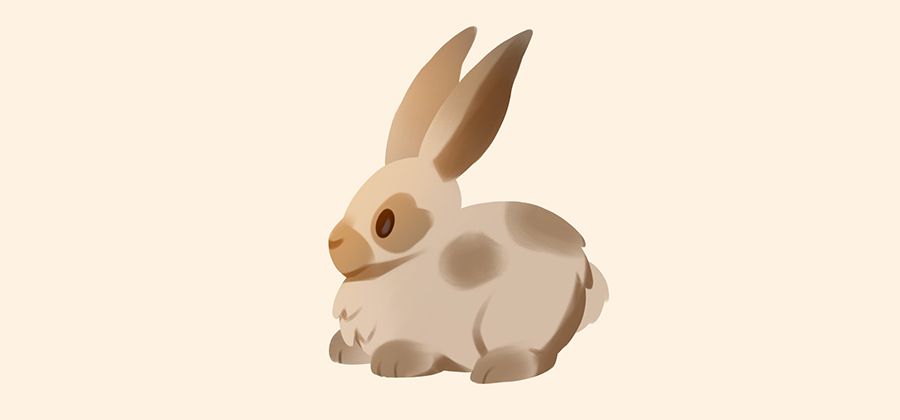 how to draw a realistic rabbit