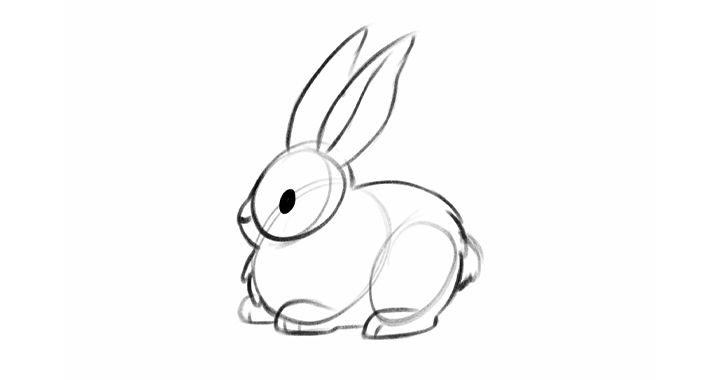 how to draw a realistic rabbit step by step