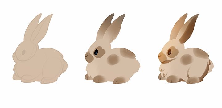 how to draw a realistic rabbit step by step