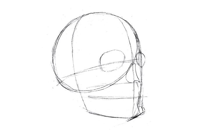 How to Draw Skull with Crossbones (Skulls) Step by Step