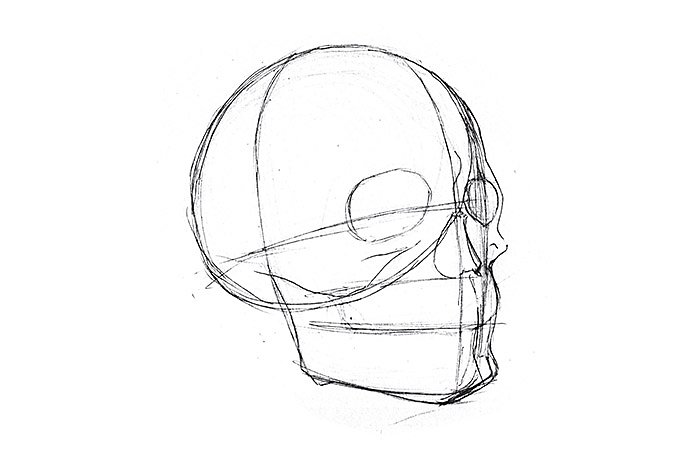 How to draw a skull step by step | Adobe