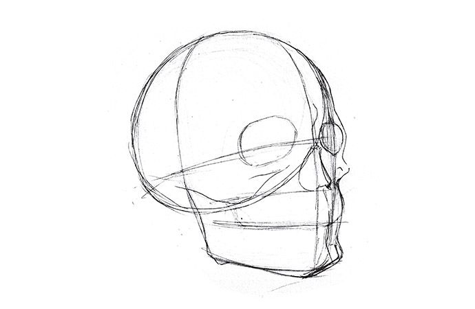 skull drawing angle view