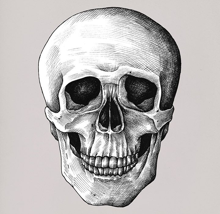 human skull front drawing