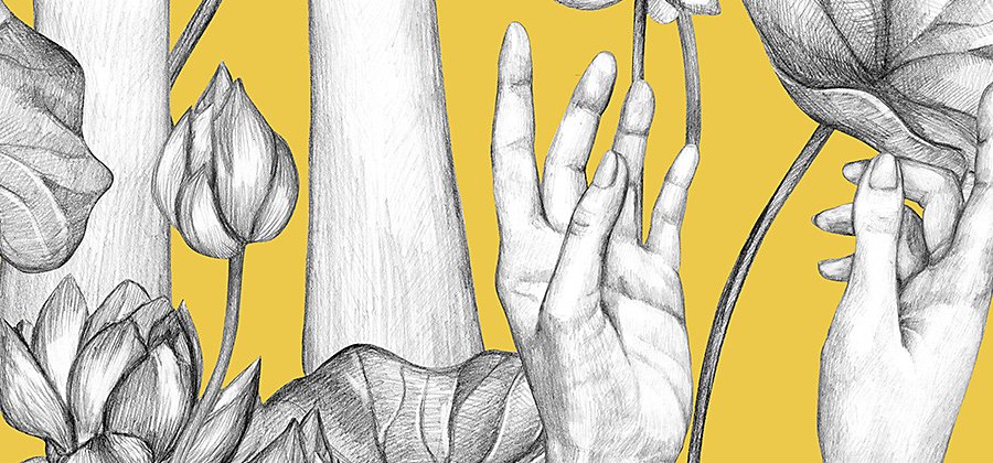 A drawing of human hands reaching up to flowers