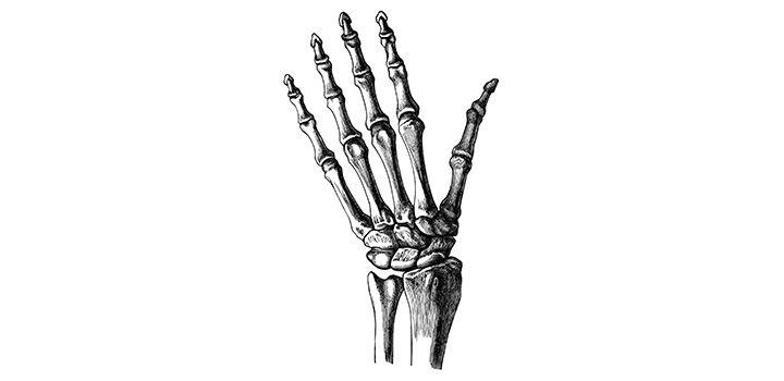 How to draw skeleton hand easy step by step