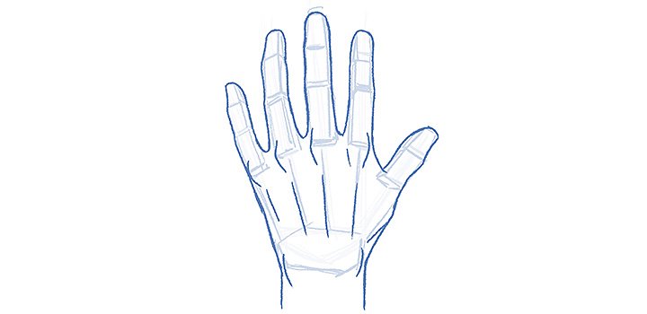 Sketch of a human hand