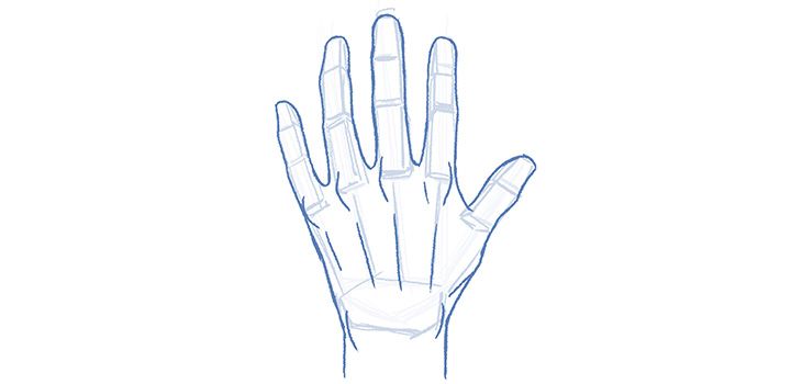 Fingers Drawing - How To Draw Fingers Step By Step