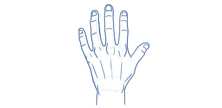 Drawing of a human hand
