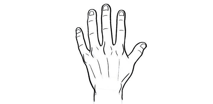 How To Draw Hands 6 Steps For Drawing Hand Anatomy Adobe