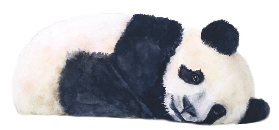 How to Draw Amazing Panda, Kawaii