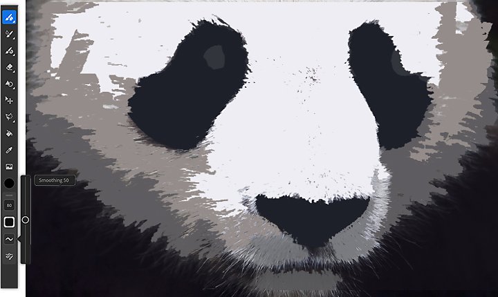 Reference photo of a panda in Adobe Fresco