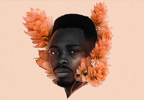 An example image of a person's face framed with flowers which has been created using complex selections.