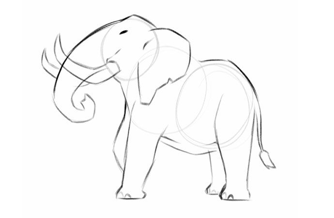 realistic elephant drawing trunk up