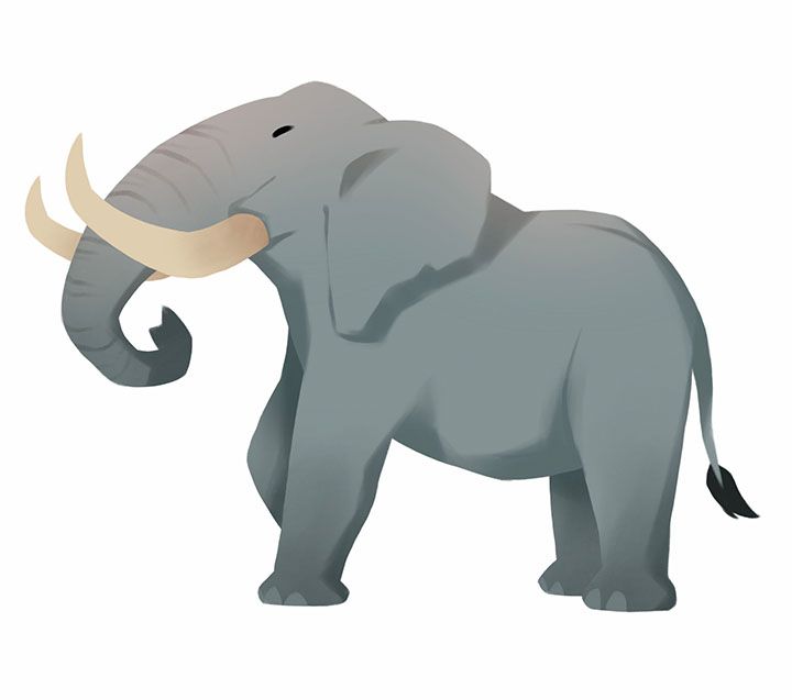 Comment Dessiner Un Elephant Facilement Adobe