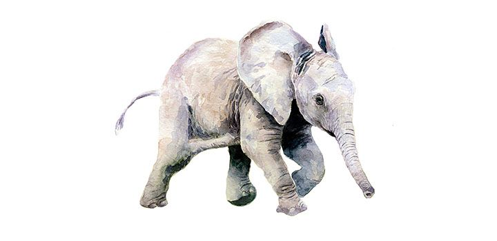 簡単な象の描き方 Adobe