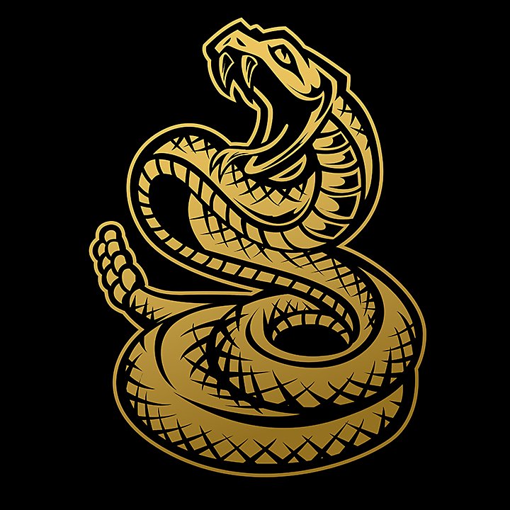 Aprende cómo dibujar una serpiente | Adobe