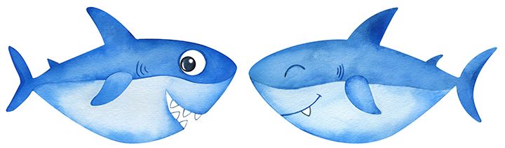 Cómo dibujar un tiburón | Adobe