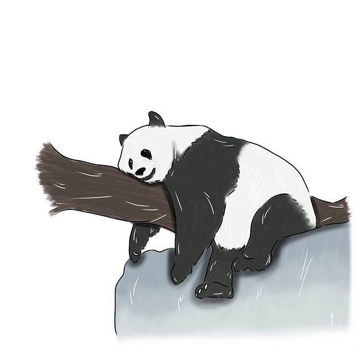 Cómo dibujar un Oso Panda kawaii