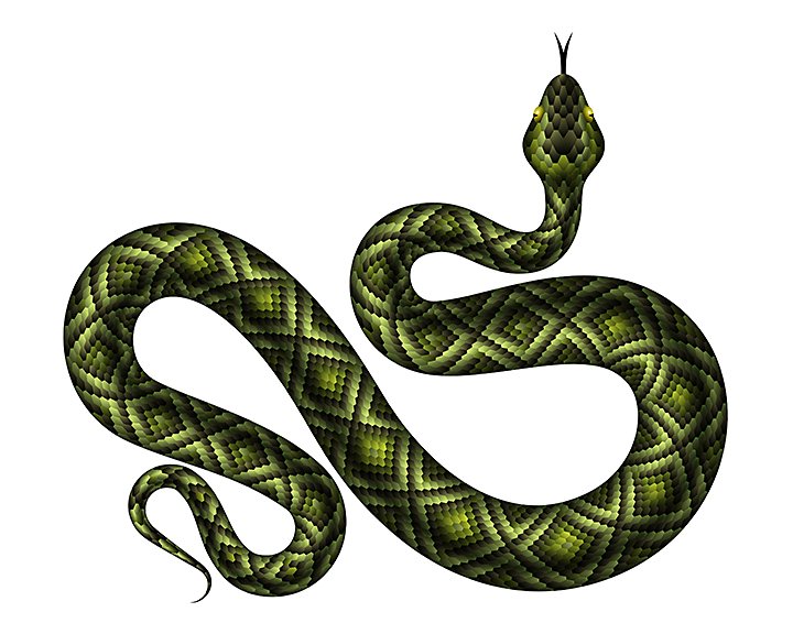 Aprende cómo dibujar una serpiente | Adobe