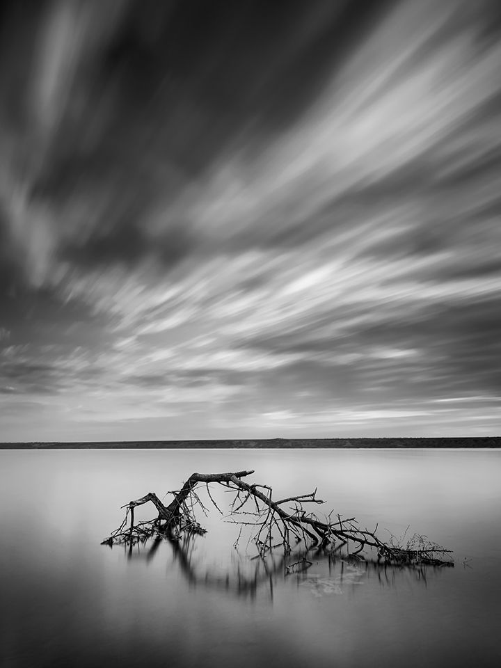 Larga exposición en blanco y negro de un árbol muerto en agua con nubes