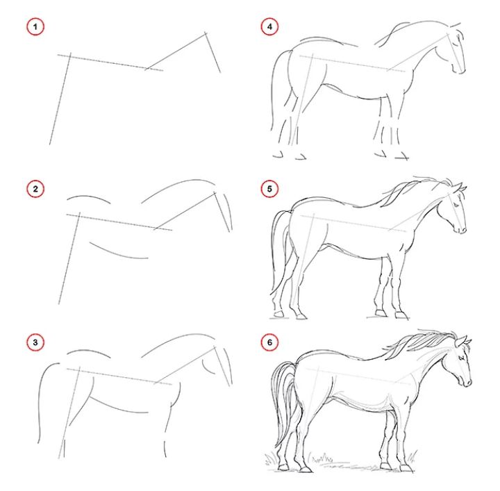 5 consejos para aprender a dibujar caballos