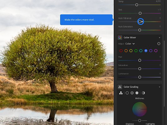 Adobe Lightroom ahora también puede editar video