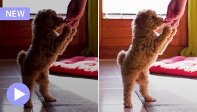 Điều chỉnh bóng và vùng sáng