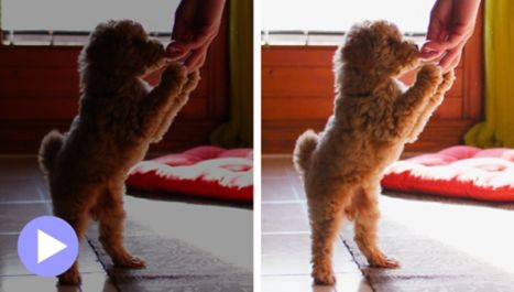 Schatten und Glanzlichter anpassen.