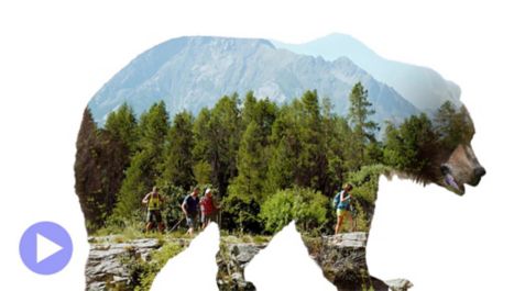 Motive mit einem Klick auswählen.