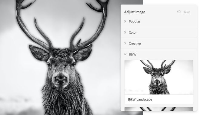 adobe photoshop express