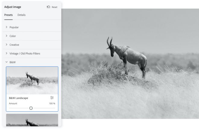 make your image black and white online