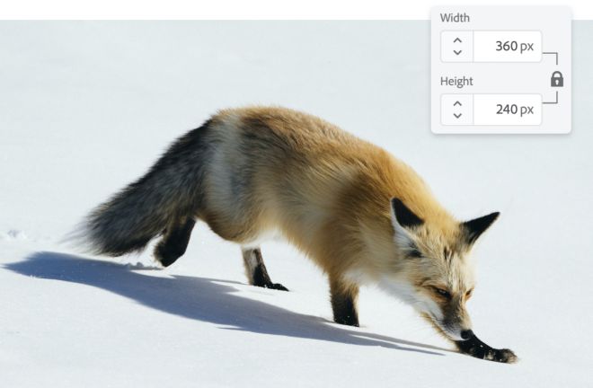 adobe photoshop express