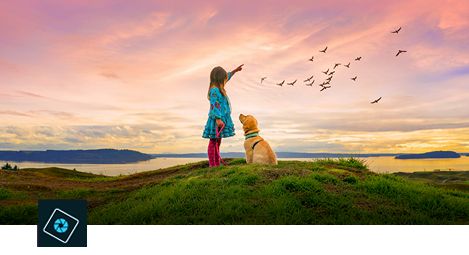 easy photo video editing software