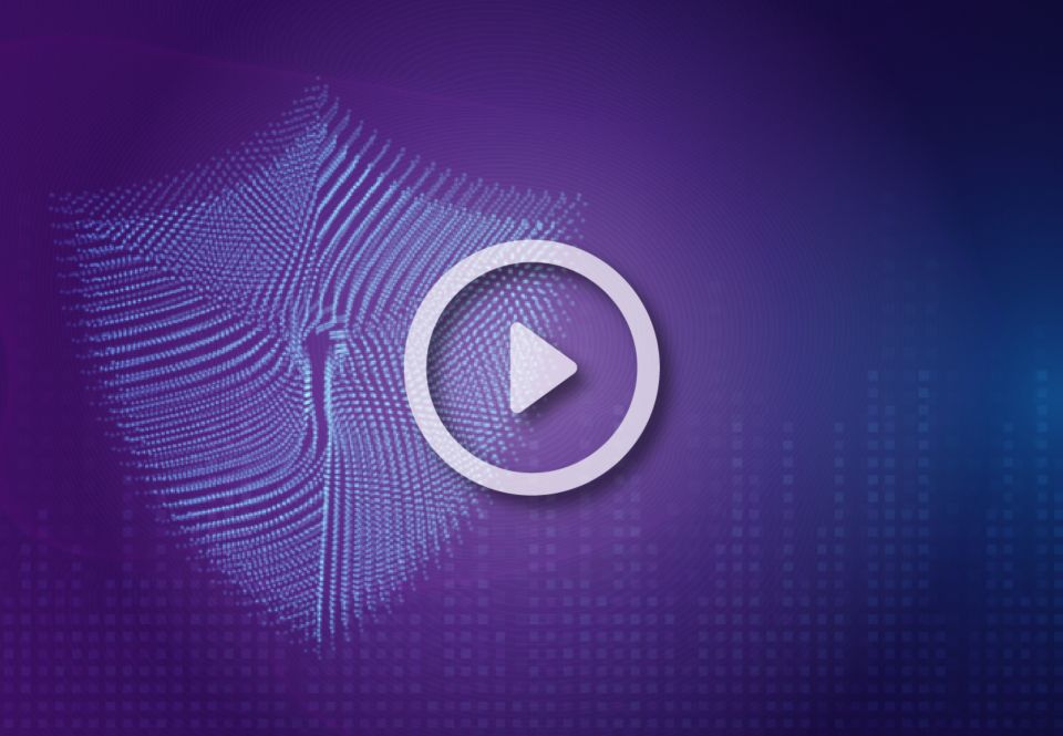 adobe coldfusion standard
