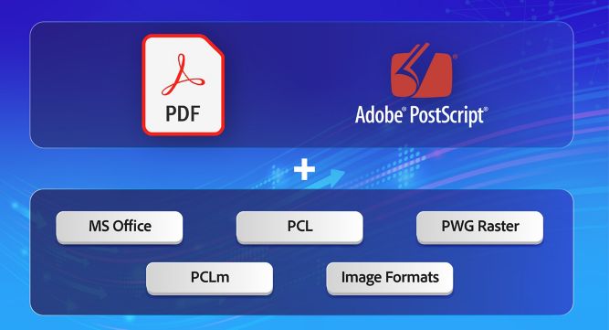Single partner for all your PDL customization and support needs
